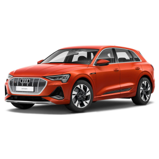 Alfombrillas de coche Audi e-tron  (2018-…)