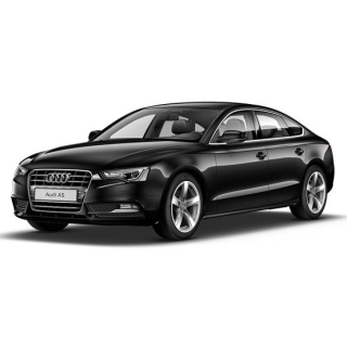 Alfombrillas de coche Audi A5 (2009-2011)