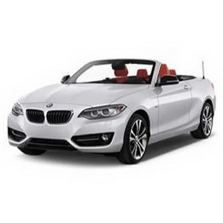 Alfombrillas de coche BMW F22 2-Series (2013-…)