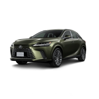 Alfombrillas de coche Lexus RX 450h+ (2022-…)