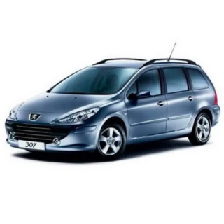 Alfombrillas de coche Peugeot 307 SW (2002-2008)