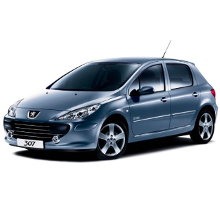Alfombrillas de coche Peugeot 307 (2001-2005)
