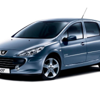 Alfombrillas de coche Peugeot 307 (2001-2005)